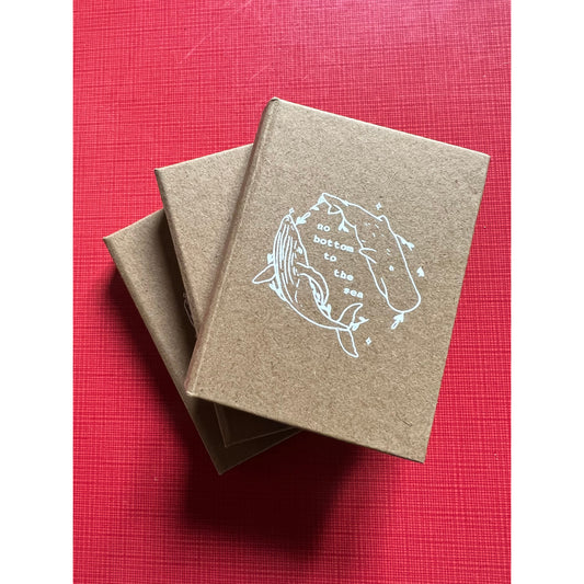 Lot de 3 carnets